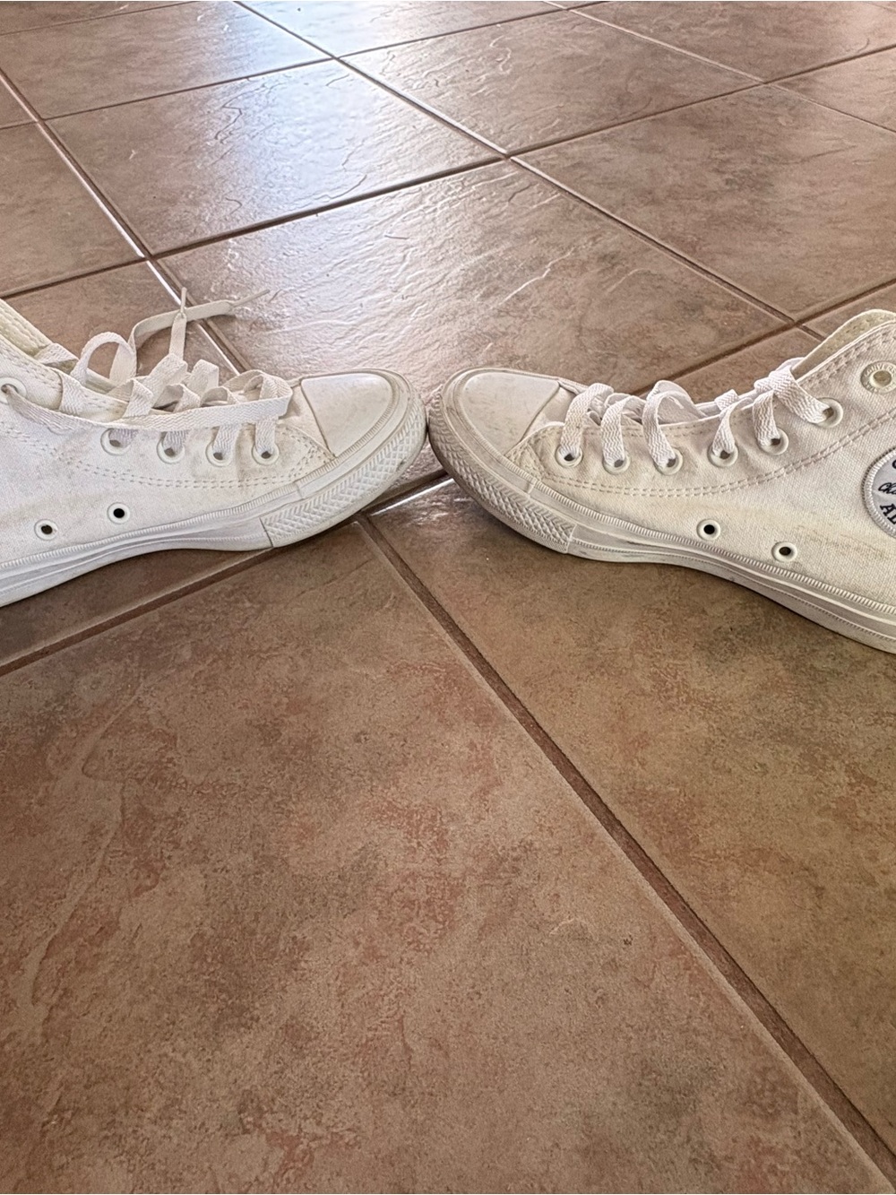 Classic High-Top Canvas Sneakers